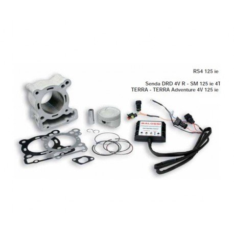 CYLINDRE MALOSSI FORCE MASTER 2 I TECH