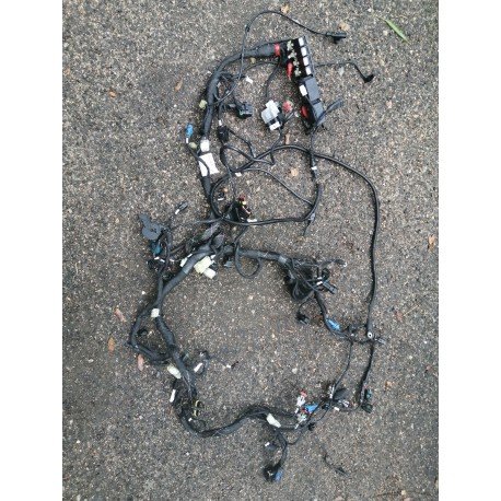 DUCATI 1200 MULTISTRADA 2017 FAISCEAU ELECTRIQUE