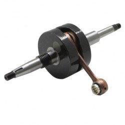 PEUGEOT 50 TKR VILEBREQUIN P2R