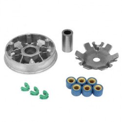 PEUGEOT 50 LUDIX VARIATEUR COMPLET P2R