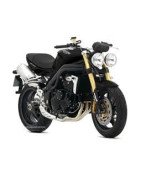 900 SPEED TRIPLE