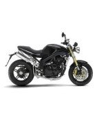 1050 SPEED TRIPLE