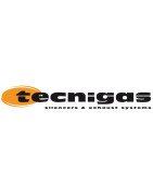 TECNIGAS