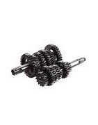 boite de vitesse complète